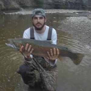 Meet your Posher, Garrison